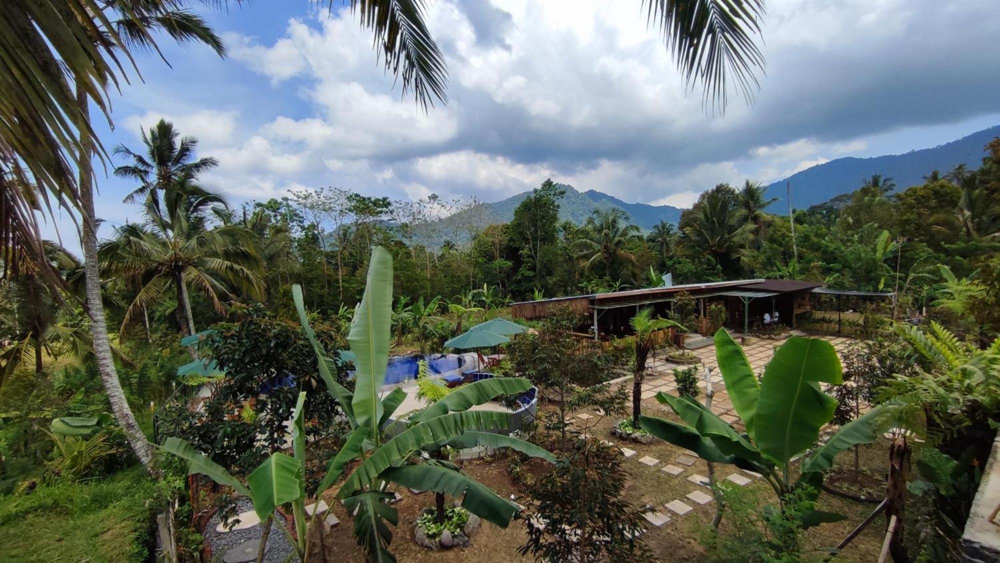 Sekumpul Bali Hidden Space Singaraja Esterno foto