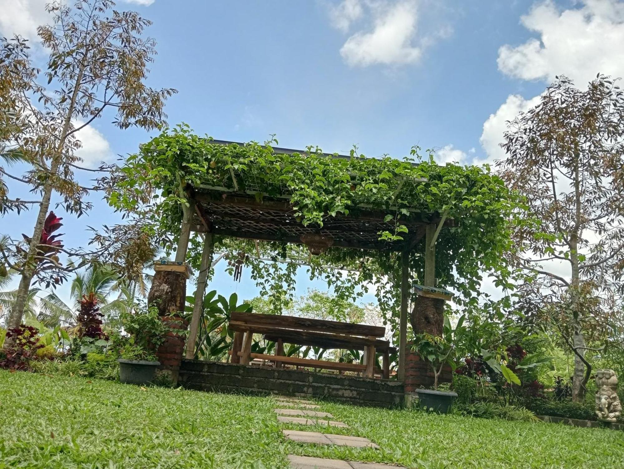 Sekumpul Bali Hidden Space Singaraja Esterno foto